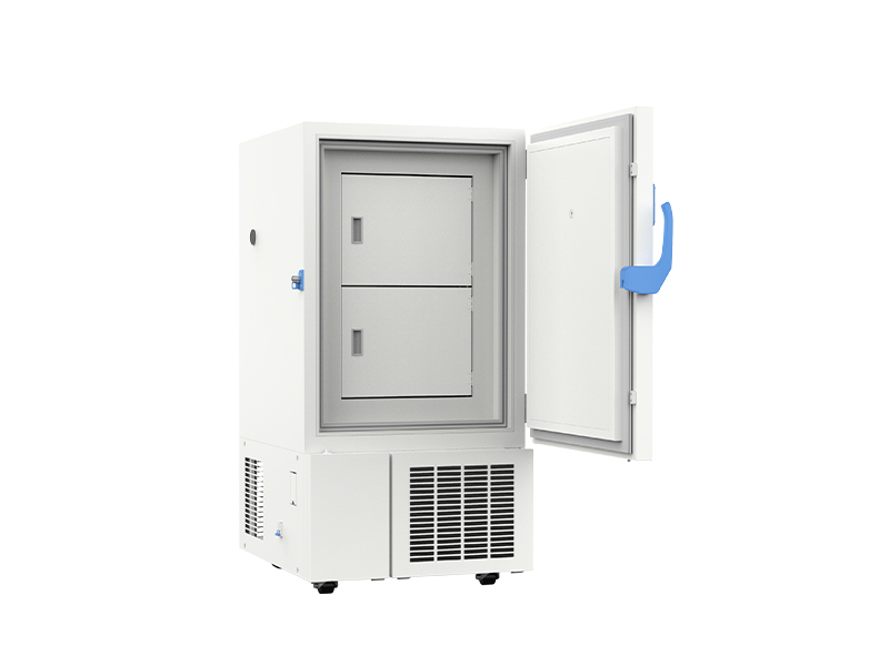 86°C Ultra Low Temperature Costeffective Freezer DWHL218 Manufacturers