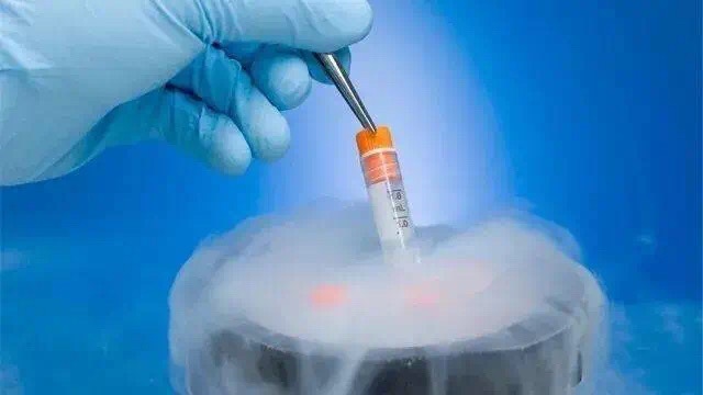Cryopreservation Make Immortality Possible?