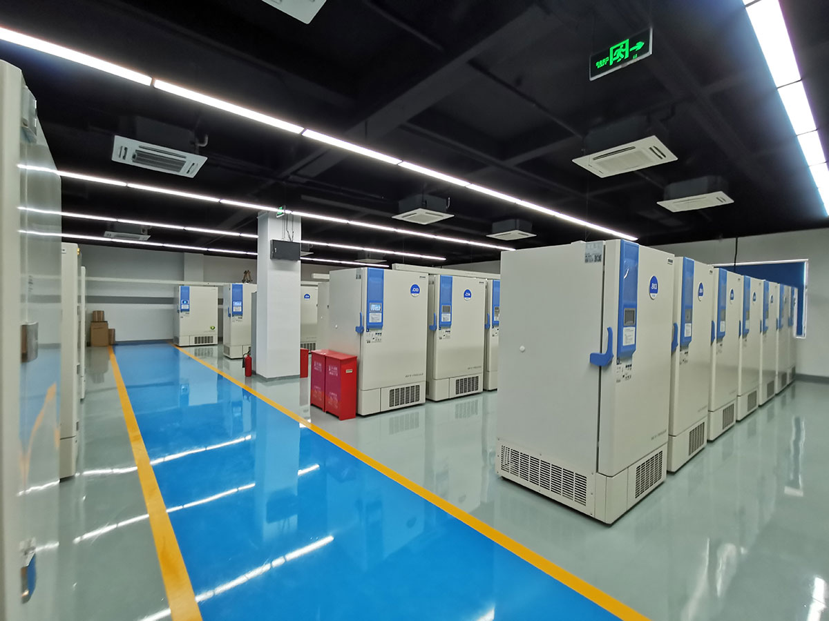 The World's Largest Ultra-low Temperature Freezer,Have You Ever Know?