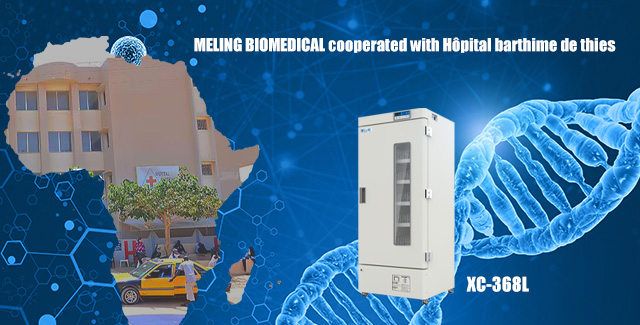 MELING BIOMEDICAL cooperated with Hôpital barthime de thies